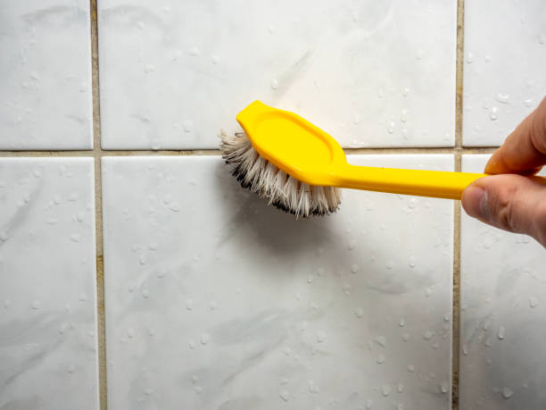 Best Localized Mold Remediation (e.g., coastal areas, humid climates) in Elkhorn, CA