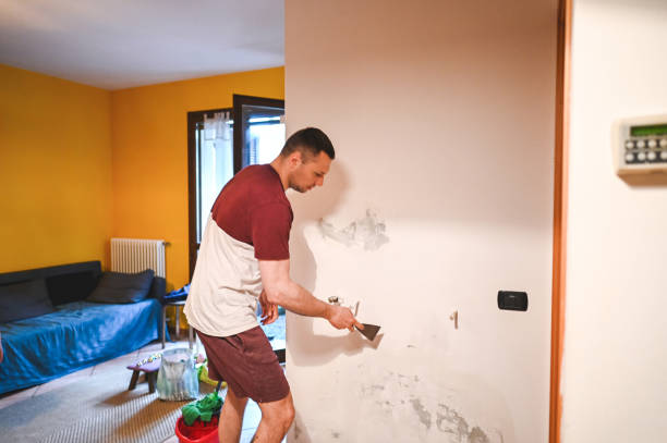 Best Insurance-Related Mold Remediation in Elkhorn, CA
